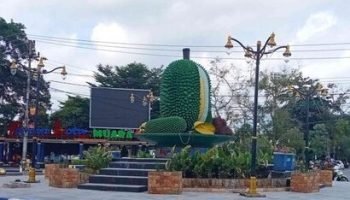 Muara Teweh